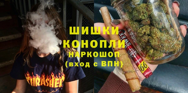 крисы Богданович