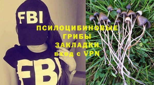 гашиш Богородицк