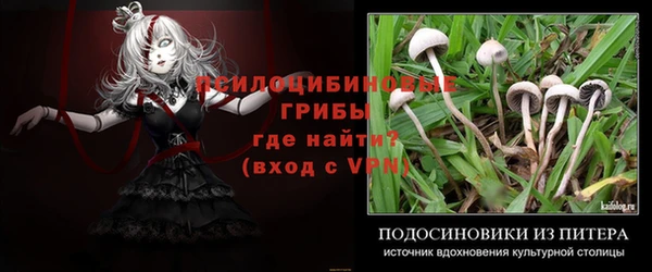 крисы Богданович