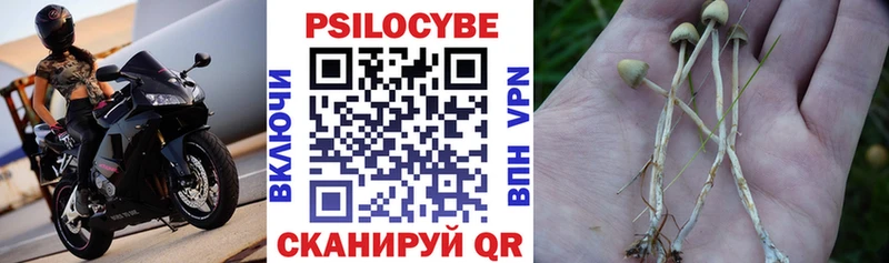 Галлюциногенные грибы мицелий  Козьмодемьянск 